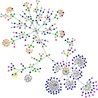 ÉLÉMENTS DE RECHERCHE OPÉRATIONNELLE - Théorie des graphes - 20/21